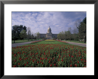 Tulips Of State Capital Building, Frankfurt, Kentucky, Usa by Adam Jones Pricing Limited Edition Print image