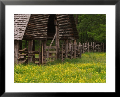 Buttercups And Cantilever Barn, Pioneer Homestead, Great Smoky Mountains National Park, N. Carolina by Adam Jones Pricing Limited Edition Print image