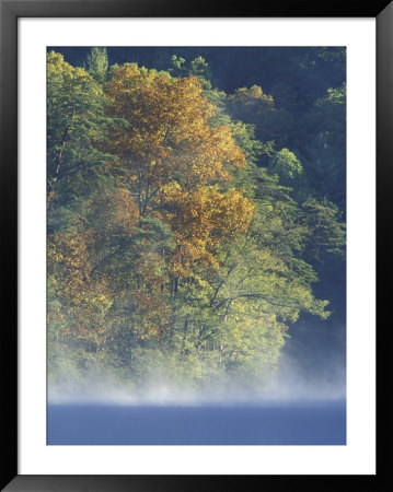 Autumn Colors On Millcreek Lake At Dawn, Daniel Boone National Forest, Kentucky, Usa by Adam Jones Pricing Limited Edition Print image