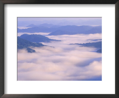 Mist In The Valleys, Cumberland Plateau Appalachian Mtns, Ky by Adam Jones Pricing Limited Edition Print image