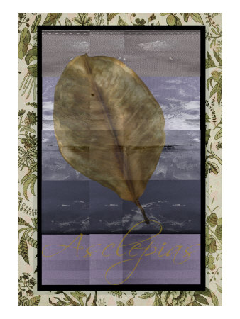 Fall Iv by Miguel Paredes Pricing Limited Edition Print image