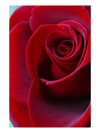 Mosaic Rose I by Miguel Paredes Pricing Limited Edition Print image