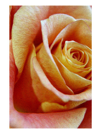Mosaic Rose Ii by Miguel Paredes Pricing Limited Edition Print image