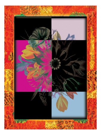 Flower Frame Vi by Miguel Paredes Pricing Limited Edition Print image