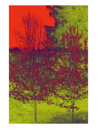 Abstract Trees Ii by Miguel Paredes Pricing Limited Edition Print image