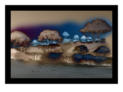 Bruned Trees I by Miguel Paredes Pricing Limited Edition Print image
