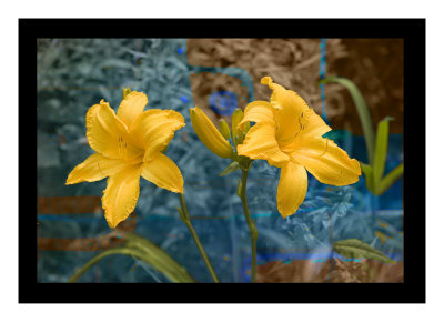 Divine Yellow by Miguel Paredes Pricing Limited Edition Print image