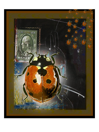 Lady Bug I by Miguel Paredes Pricing Limited Edition Print image