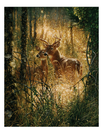 Golden Moment by Collin Bogle Pricing Limited Edition Print image