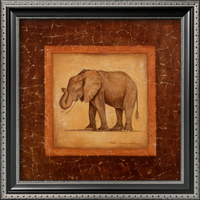 African Wildlife Ii, Elephant by Debra Swartzendruber Pricing Limited Edition Print image