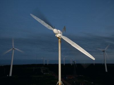 Whale-Inspired Windmill Turbine Blades Are Being Tested For Power by Robert Clark Pricing Limited Edition Print image