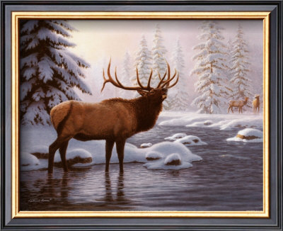 Elk Ii by Richard Burns Pricing Limited Edition Print image