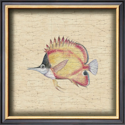 Tropical Fish Ii by Debra Swartzendruber Pricing Limited Edition Print image