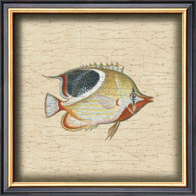 Tropical Fish Iii by Debra Swartzendruber Pricing Limited Edition Print image