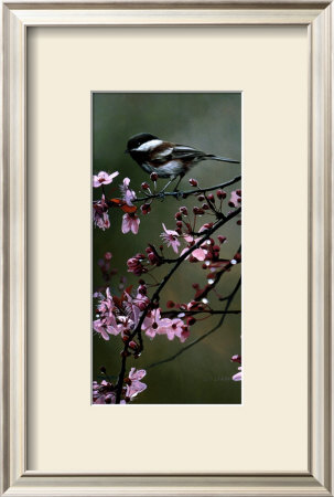 Chestnut Chickadees by Terry Isaac Pricing Limited Edition Print image