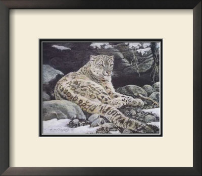Awake Snow Leopard by Alan Sakhavarz Pricing Limited Edition Print image