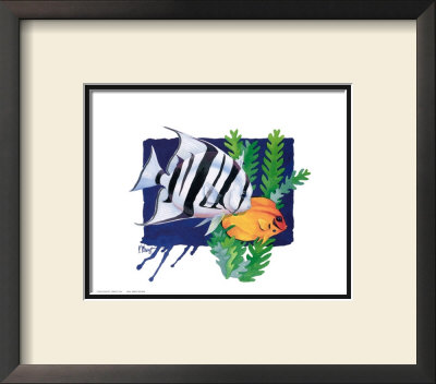 Atlantic Spade Fish by Paul Brent Pricing Limited Edition Print image