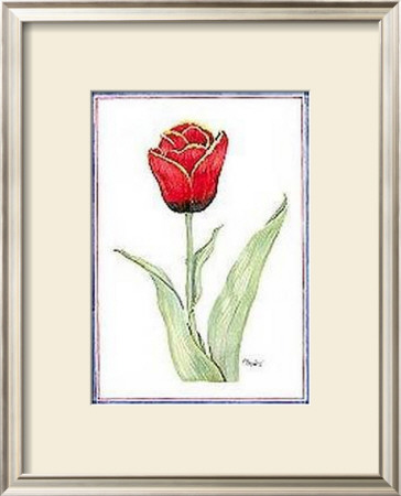 Tulipa  Regent by Paul Brent Pricing Limited Edition Print image