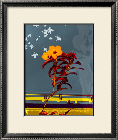 Urban Flower I by Miguel Paredes Pricing Limited Edition Print image