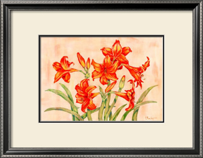 Linen Scroll Amaryllis by Paul Brent Pricing Limited Edition Print image