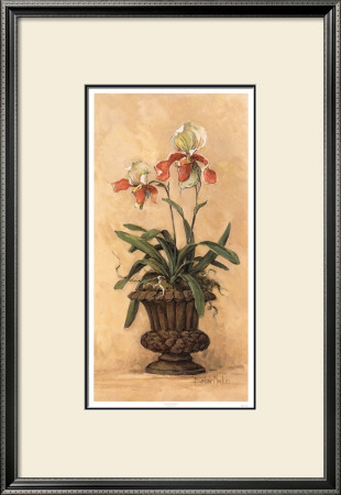 Orchid Revival Ii by Barbara Mock Pricing Limited Edition Print image