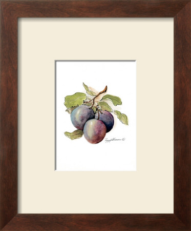 Plums by Peggy Abrams Pricing Limited Edition Print image