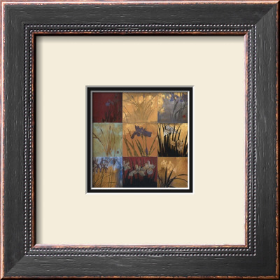 Iris Nine Patch Ii by Don Li-Leger Pricing Limited Edition Print image