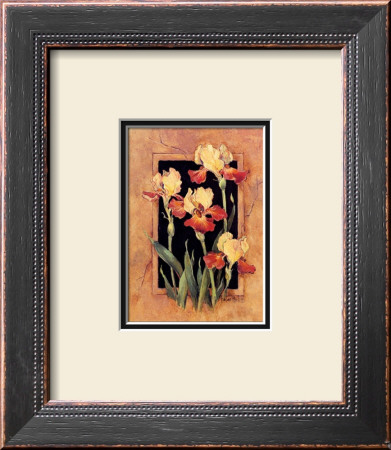 Framed Iris by Barbara Mock Pricing Limited Edition Print image