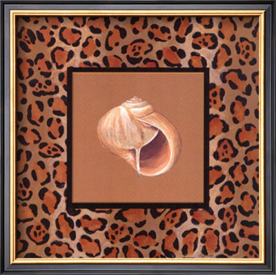 Shell Safari Iv by Barbara Shipman Pricing Limited Edition Print image