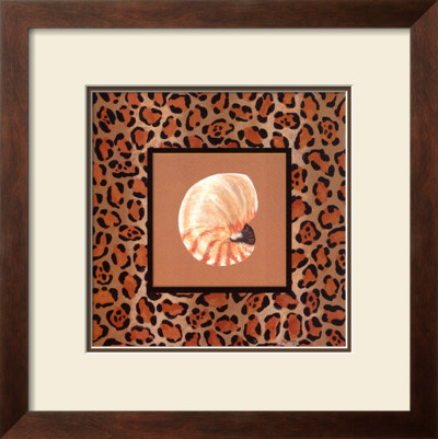 Shell Safari I by Barbara Shipman Pricing Limited Edition Print image