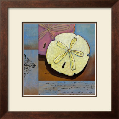 Sanibel Sand Dollar by Paul Brent Pricing Limited Edition Print image