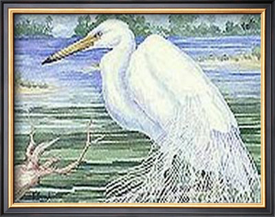 American Egret by Paul Brent Pricing Limited Edition Print image
