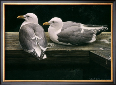 Gulls Resting by Robert Bateman Pricing Limited Edition Print image