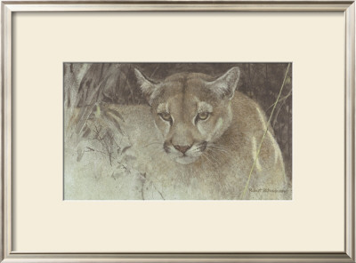 Tropical Cougar by Robert Bateman Pricing Limited Edition Print image