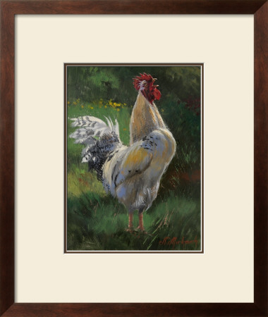 White And Yellow Rooster by Nenad Mirkovich Pricing Limited Edition Print image