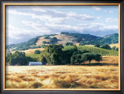 Wine Country by June Carey Pricing Limited Edition Print image