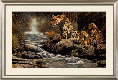 Watchful Eye by Craig Bone Pricing Limited Edition Print image
