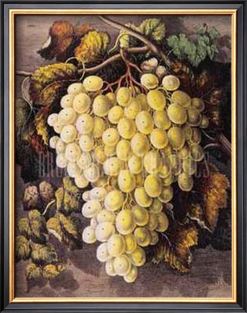First Premium Grapes by Currier & Ives Pricing Limited Edition Print image