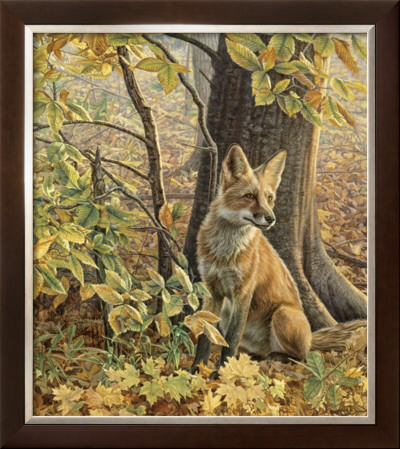 Eyes Of Autumn by Kalon Baughan Pricing Limited Edition Print image