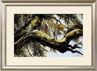 Leopard Sentry by Spencer Hodge Pricing Limited Edition Print image