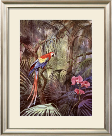 Palms And Palmettos by Ralph Taylor Pricing Limited Edition Print image