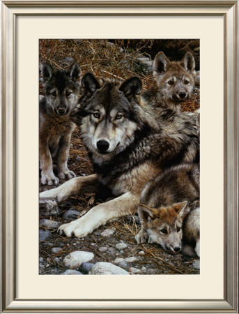 Den Mother by Carl Brenders Pricing Limited Edition Print image