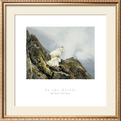 In The Cliffs by Michael Coleman Pricing Limited Edition Print image