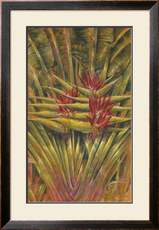 Bird Of Paradise by Steve Butler Pricing Limited Edition Print image