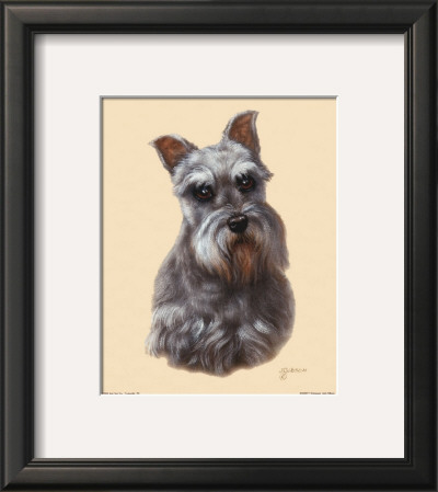 Schnauzer by Judy Gibson Pricing Limited Edition Print image