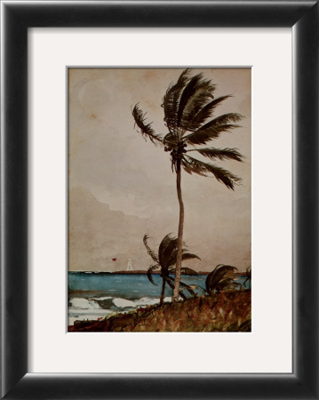 Palm Tree, Nassau by Winslow Homer Pricing Limited Edition Print image