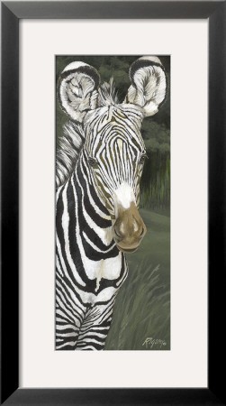 Safari Zebra by Harold Rigsby Pricing Limited Edition Print image