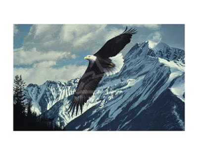 Wings Over Winter by Ron Parker Pricing Limited Edition Print image