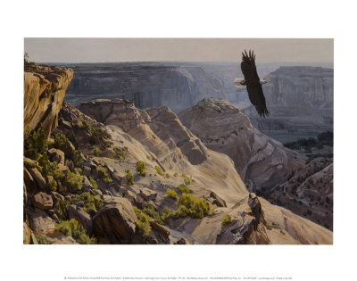 Bald Eagle Over Canyon De Chelley by Dino Paravano Pricing Limited Edition Print image