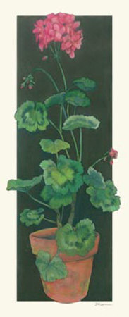 Geranium I by Judy Phipps Pricing Limited Edition Print image